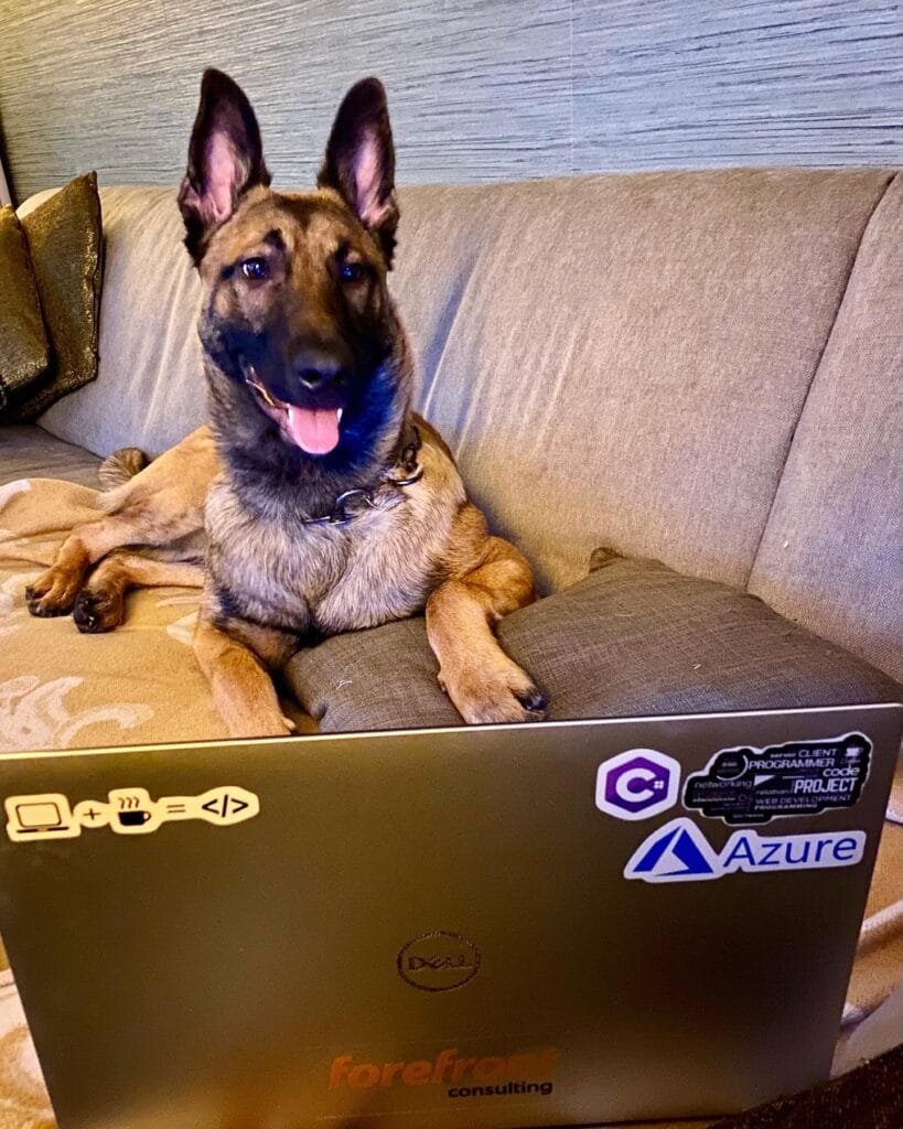 Jonah Andersson’s Malinois Dog by her laptop 